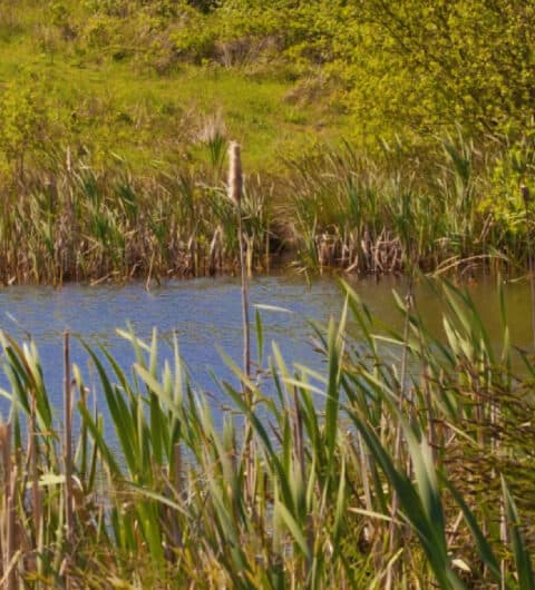 Rothwell Country Park Rothwell Country Park
